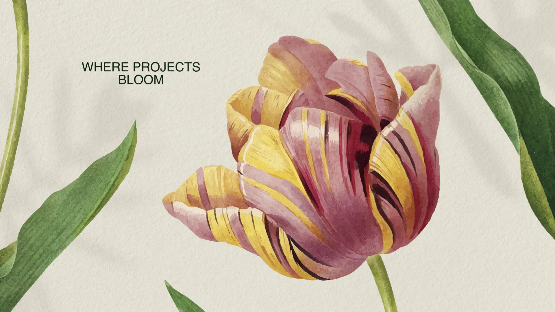 A watercolour tulip with pink and yellow striped petals between long green leaves on textured cream paper, with the tagline “Where projects bloom”, a frame from the Fintech Garden animated podcast intro