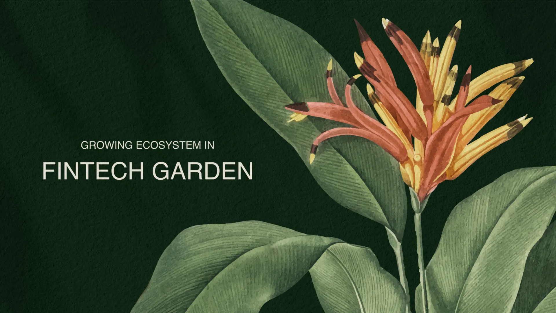The title “Growing ecosystem in Fintech Garden” beside a watercolour orange bird-of-paradise flower and broad green leaves on a deep green background, the title card of the Fintech Garden podcast intro