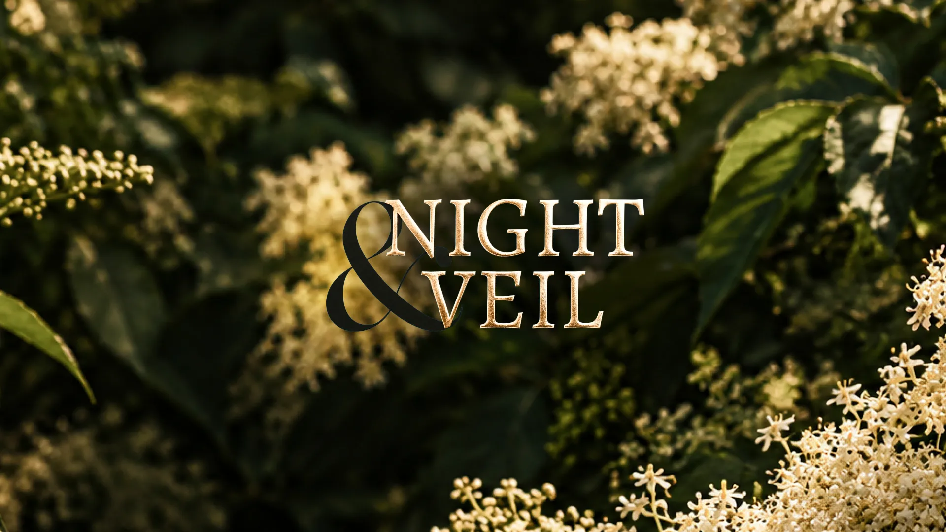 Night & Veil wine brand logo in gold serif lettering with a black ampersand over blooming elderflower and dark forest leaves