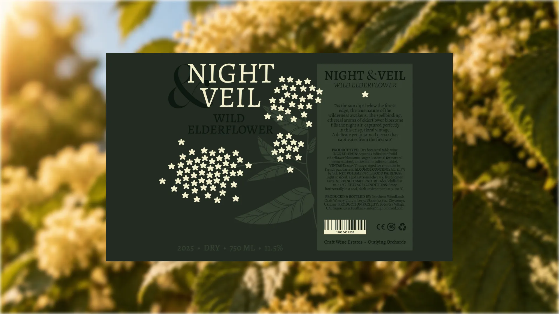 Night & Veil Wild Elderflower wine label design with cream elderflower illustrations and back label text over blooming elder trees